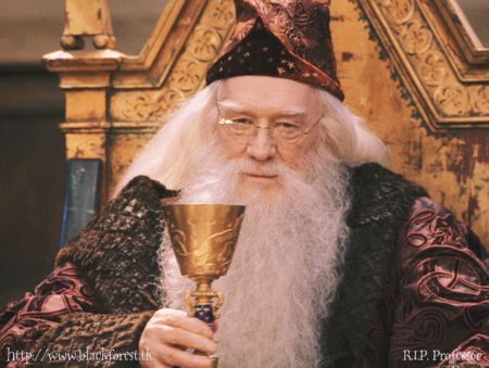 albus_dumbledore1.jpg